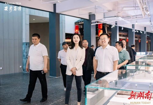 永定區(qū)工商聯(lián)推動民企‘走出去，請進來’，助力經(jīng)濟與文化雙騰飛